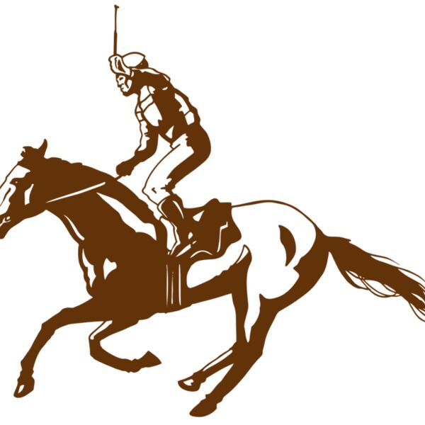 AR EQUEST 11 RC Thumbnail