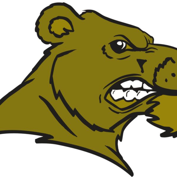 AR BEAR 11 RC Thumbnail