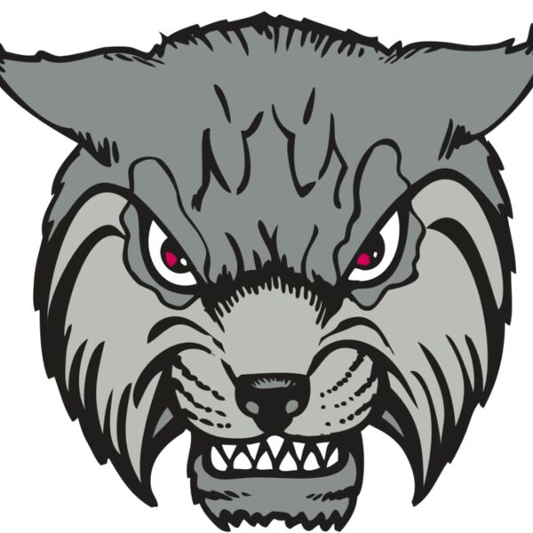 BAW BOBCAT 02 RC Thumbnail