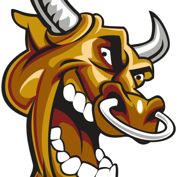 BULL HD0504 RQC Thumbnail