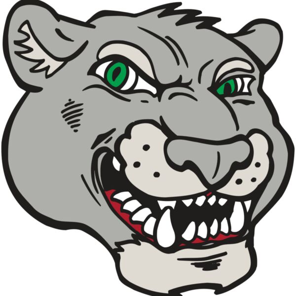 AR5 Cougar 06 RQC Thumbnail