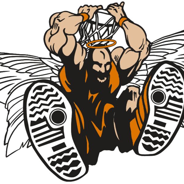 AR17 ANGEL BSKT 07 RQC Thumbnail