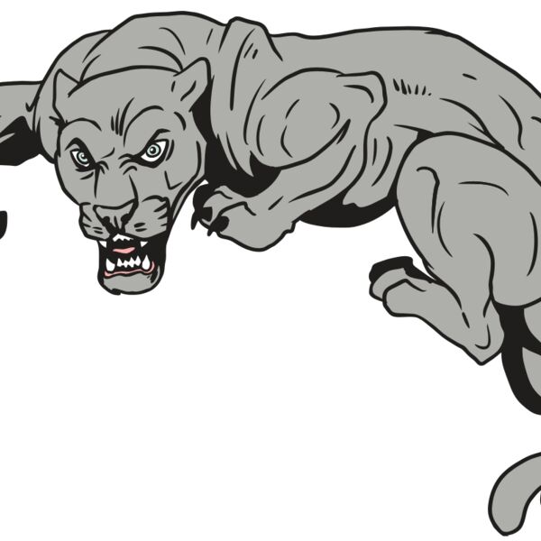 AR10 PANTHER 02 RQC Thumbnail