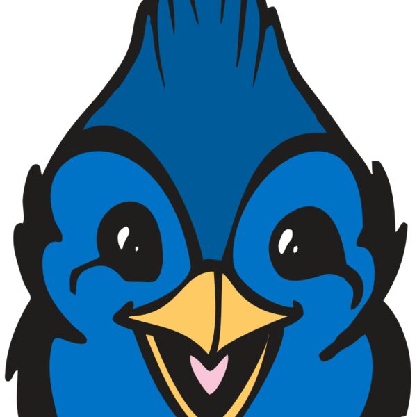 BAW BLUEJAY 19 RC Thumbnail