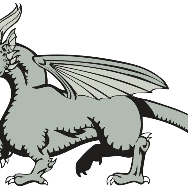 BAW DRAGON 20 RC Thumbnail