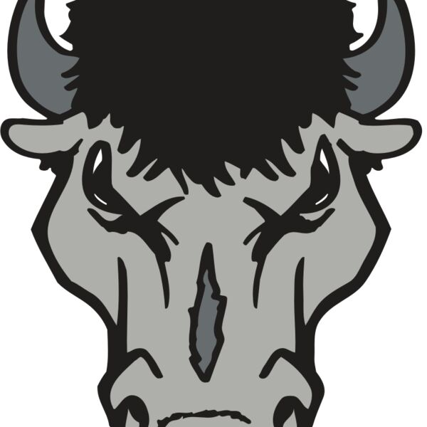 AR BUFFALO 15 RC Thumbnail