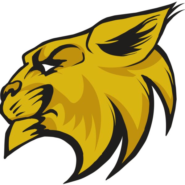 AR30 WILDCAT 02 RQC Thumbnail