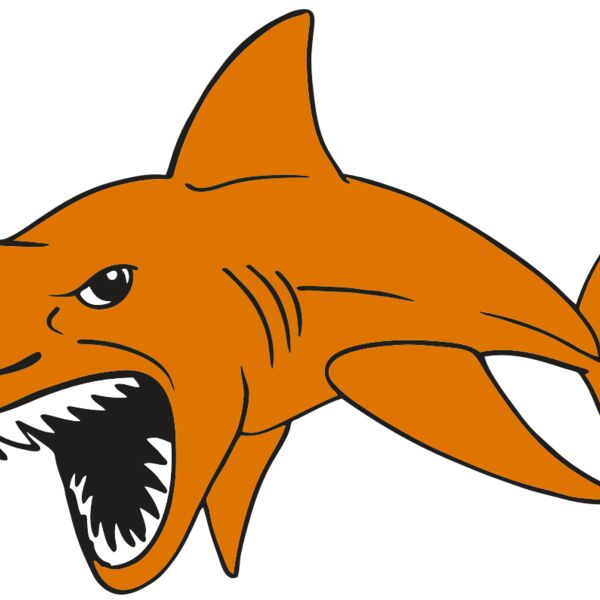 AR  SHARK 20 RC Thumbnail