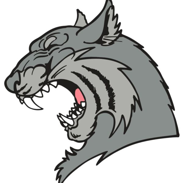 AR WILDCAT 41 RC Thumbnail