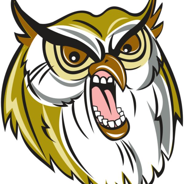 OWL HD0501 RQC Thumbnail