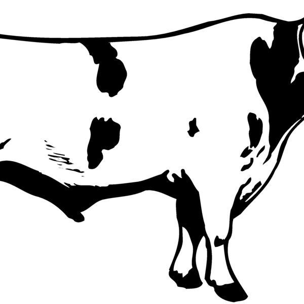 COW020 Thumbnail